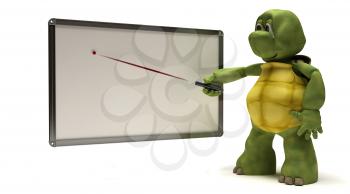 3D Render of a Tortoise with blank white board