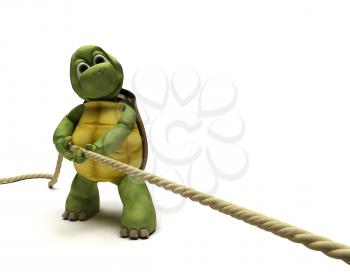 3D render of Tortoise pulling on a rope