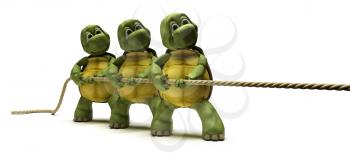 3D render of Tortoises pulling on a rope