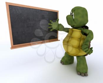 3D render of a tortoise with school chalk board