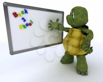 3D render of a tortoise with White class room drywipe marker board