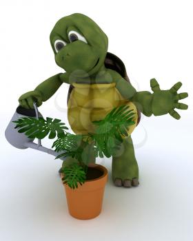 3D render of a tortoise with  watering can feeding a plant