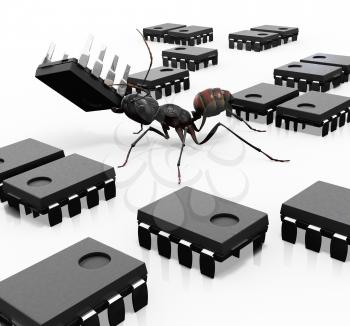 Royalty Free Clipart Image of Ants carrying microchips.