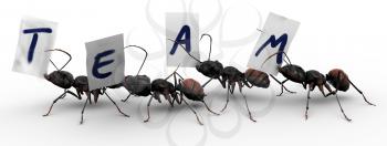 Royalty Free Clipart Image of Four ants carrying fragments of paper, each with a letter that spells the word team.