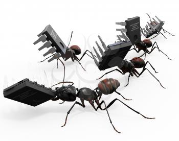 Royalty Free Clipart Image of Ants carrying microchips.