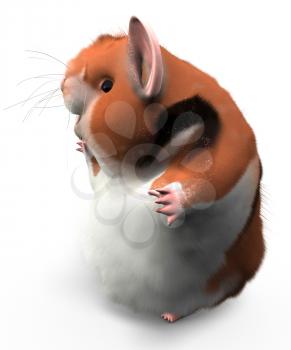 A hamster turned to the side looking happy, possibly waving at someone, or looking at text or design elements to the left. 
