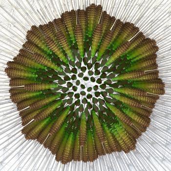 3d render of dandelion seeds arranged, detached from head for closeup examination. Example of the golden ratio and Fibonacci sequence in action. 400 seeds approximately.