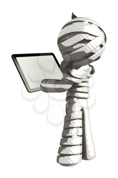 Mummy or Personal Injury Concept Reviewing something on a Computer Tablet