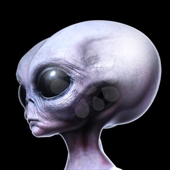 Grey alien side view isolated on black