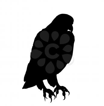 Royalty Free Clipart Image of a Eagle