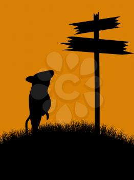 Royalty Free Clipart Image of a Mouse at a Crossroads