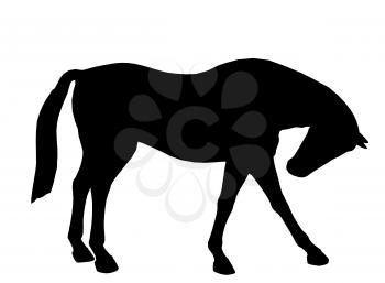 Royalty Free Clipart Image of a Black Horse