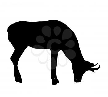 Royalty Free Clipart Image of a Deer