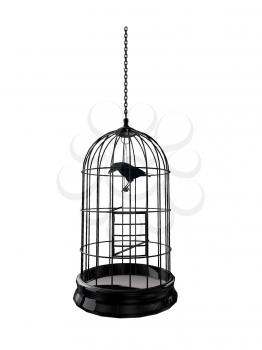Royalty Free Clipart Image of a Bird in a Cage