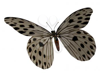 Royalty Free Clipart Image of a Spotted Butterfly