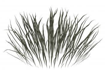Royalty Free Clipart Image of a Dead Grass