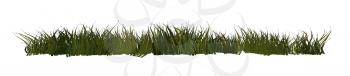 Royalty Free Clipart Image of a Band of Grass