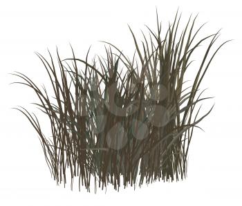 Royalty Free Clipart Image of a Clump of Grass