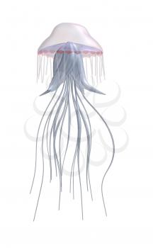 Royalty Free Clipart Image of a Jellyfish