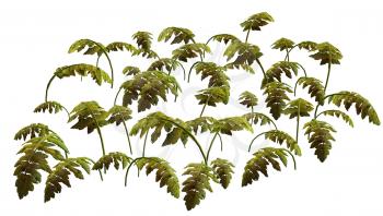 Royalty Free Clipart Image of Leaves