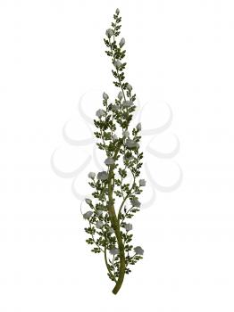Royalty Free Clipart Image of a Vine With Flowers