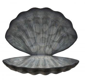 Royalty Free Clipart Image of an Oyster Shell