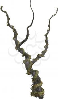 Royalty Free Clipart Image of a Thorny Vine