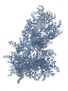 Royalty Free Clipart Image of a Blue Plant