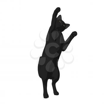Royalty Free Clipart Image of a Black Cat
