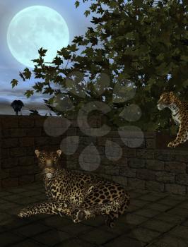 Royalty Free Clipart Image of Leopards and Crows Under a Full Moon