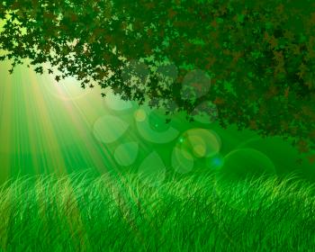 Abstract forest background