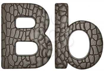 Royalty Free Clipart Image of Alligator Skin Font B Lowercase and Capital Letters
