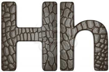 Royalty Free Clipart Image of Alligator Skin Font H Lowercase and Capital Letters