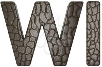 Royalty Free Clipart Image of Alligator Skin Font W and I Lowercase and Capital Letters