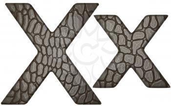 Royalty Free Clipart Image of Alligator Skin Font X Lowercase and Capital Letters