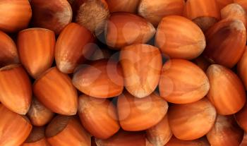 Royalty Free Clipart Image of Filbert Nuts Background