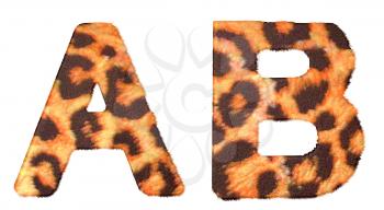 Royalty Free Clipart Image of Leopard Print A and B