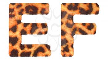 Royalty Free Clipart Image of Leopard Print R and S Leopard Print E and F