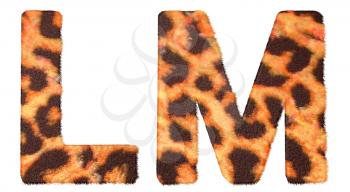 Royalty Free Clipart Image of Leopard Print L and M