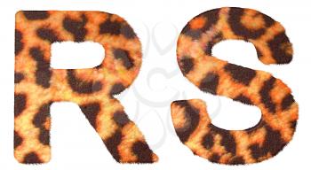 Royalty Free Clipart Image of Leopard Print R and S