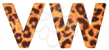 Royalty Free Clipart Image of Leopard Print V and W