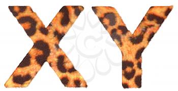 Royalty Free Clipart Image of Leopard Print X and Y