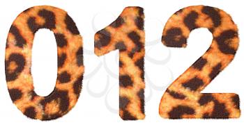 Royalty Free Clipart Image of Leopard Print Numbers