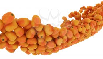 Royalty Free Clipart Image of Ripe Mango Fruits