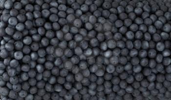 Royalty Free Photo of a Background of Blueberries 