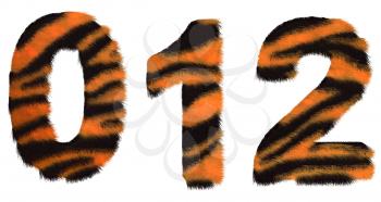 Royalty Free Clipart Image of Tiger Fell Numbers