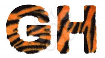 Royalty Free Clipart Image of Tiger Fell Font G and H