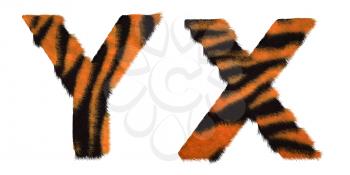 Royalty Free Clipart Image of Tiger Fell Font X and Y