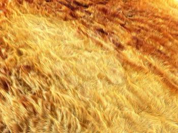 Fell: brown and yellow fox fur pattern or background. Useful for fashion