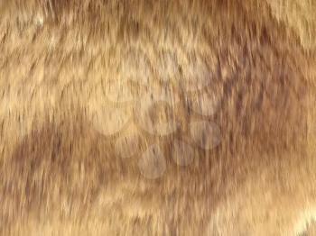 Fell: brown fox fur pattern or background. Useful for fashion